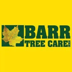 Affordable yard maintenance for year-round maintenance across New Lenox, IL - Barr Tree Care