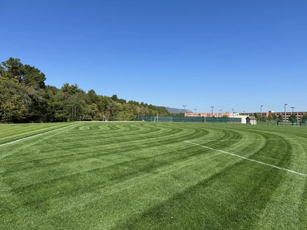 Local yard cleanup service in Tivoli, NY by Barraco Build and Bloom