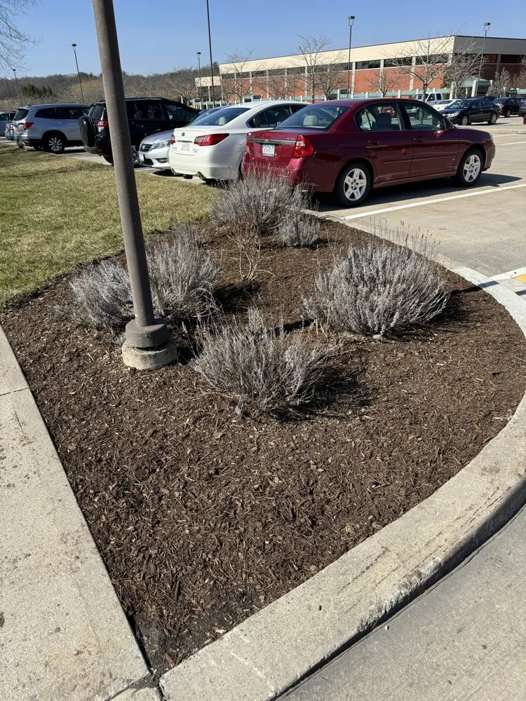 Trusted lawn mowing service in Tivoli, NY by Barraco Build and Bloom