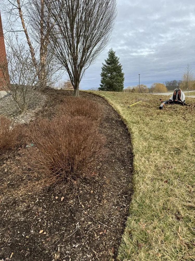 Reliable yard cleanup service experts serving Tivoli, NY - Barraco Build and Bloom