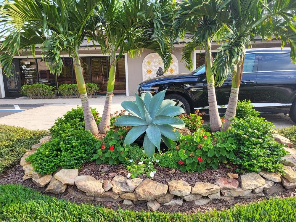Professional landscaping services for year-round maintenance in Punta Gorda, FL by Barracuda Tree & Landscape