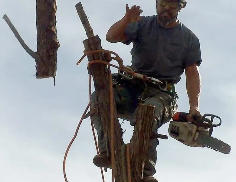 Reliable garden landscaping for outdoor upgrades across Punta Gorda, FL - Barracuda Tree & Landscape