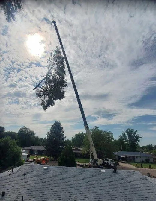 Affordable landscape installation for beautiful yards across Punta Gorda, FL - Barracuda Tree & Landscape