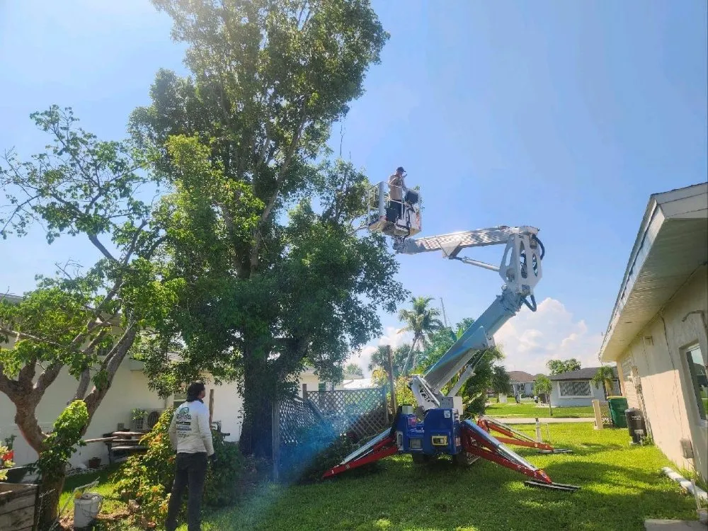 Affordable landscape design for outdoor upgrades in Punta Gorda, FL by Barracuda Tree & Landscape