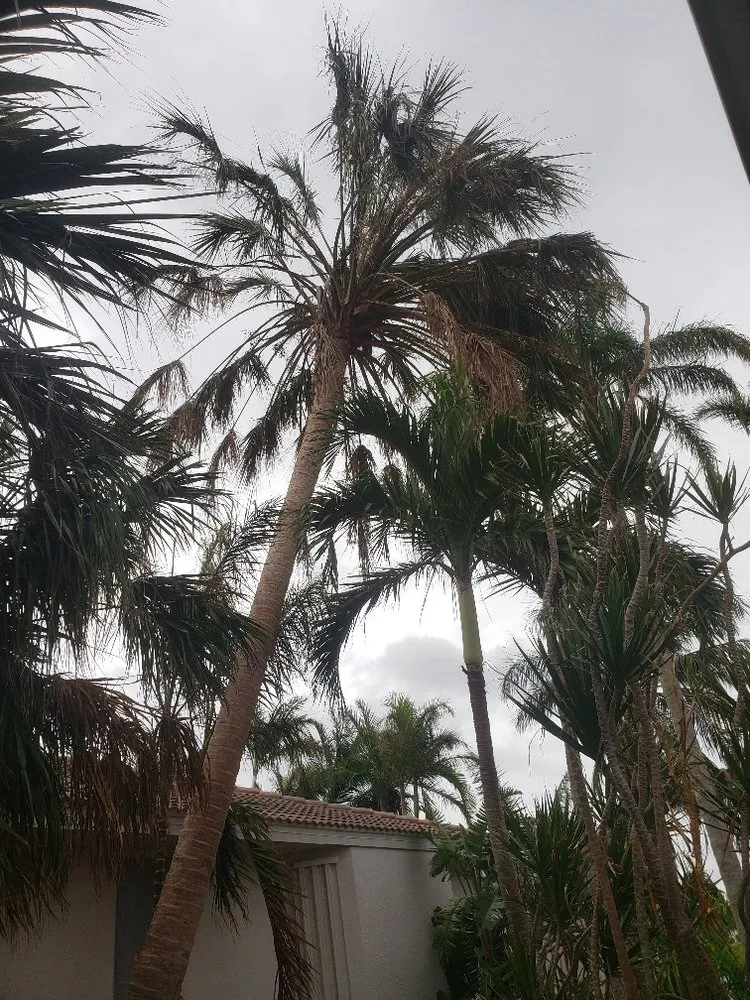 Affordable garden landscaping in Punta Gorda, FL by Barracuda Tree & Landscape