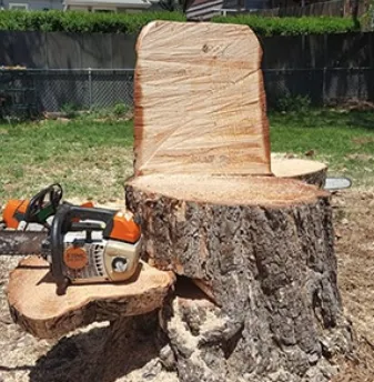 Reliable lawn mowing service experts serving Punta Gorda, FL - Barracuda Tree & Landscape