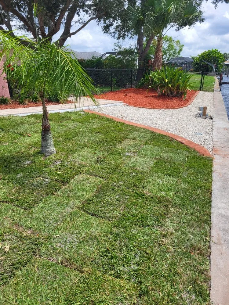 Expert yard maintenance for beautiful yards in Punta Gorda, FL by Barracuda Tree & Landscape