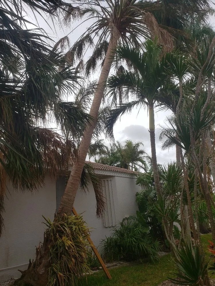 Local residential landscaping for beautiful yards in Punta Gorda, FL by Barracuda Tree & Landscape