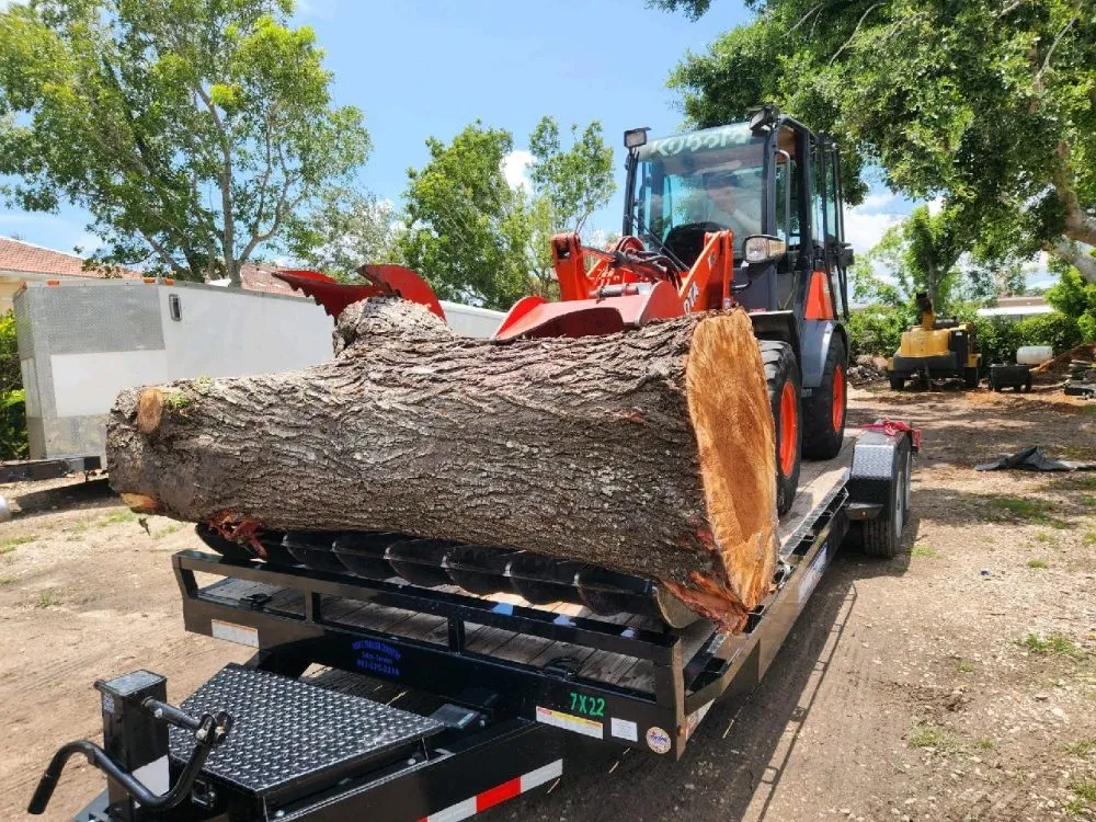 Reliable lawn care service in Punta Gorda, FL - Barracuda Tree & Landscape