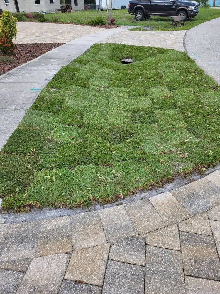 Trusted landscape design in Punta Gorda, FL by Barracuda Tree & Landscape