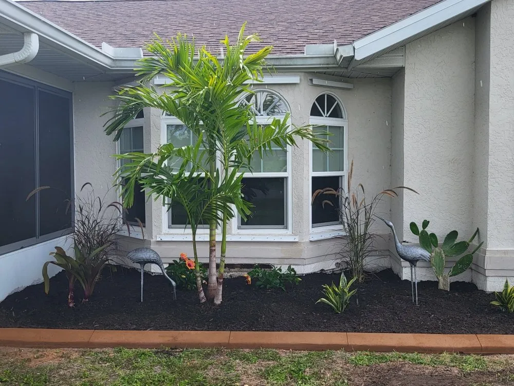 Local landscape installation in Punta Gorda, FL by Barracuda Tree & Landscape