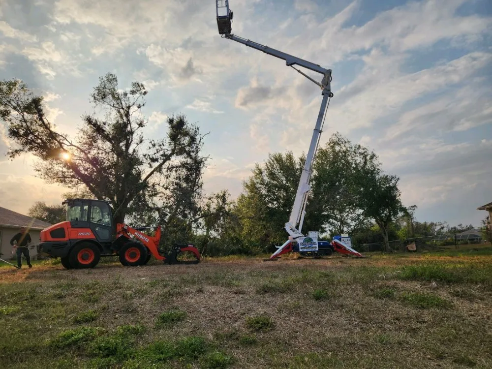Custom outdoor landscaping experts serving Punta Gorda, FL - Barracuda Tree & Landscape