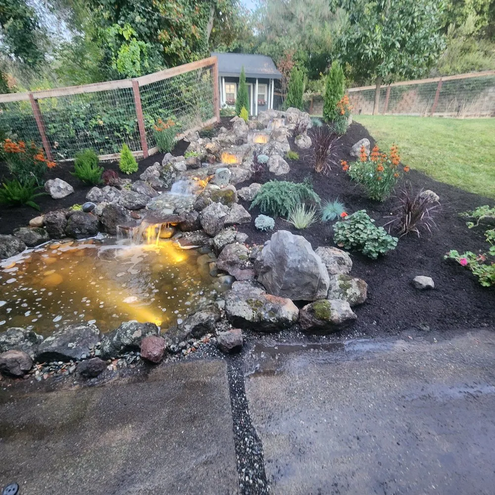 Affordable yard cleanup service in Auburn, CA by Barracuda Watergardens