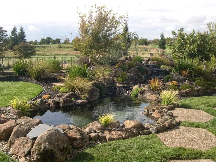 Reliable yard cleanup service near you in Auburn, CA by Barracuda Watergardens