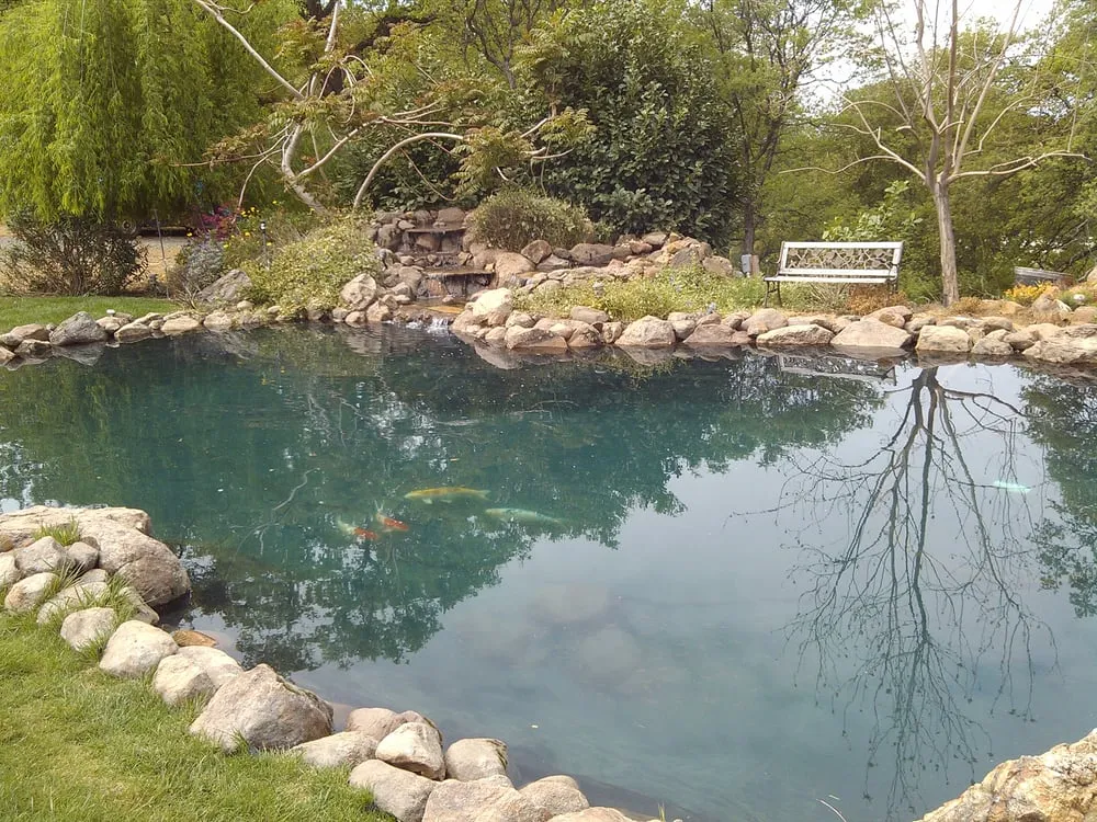 Affordable landscaping services in Auburn, CA - Barracuda Watergardens
