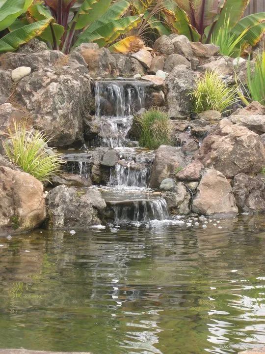 Professional landscape design near you across Auburn, CA - Barracuda Watergardens