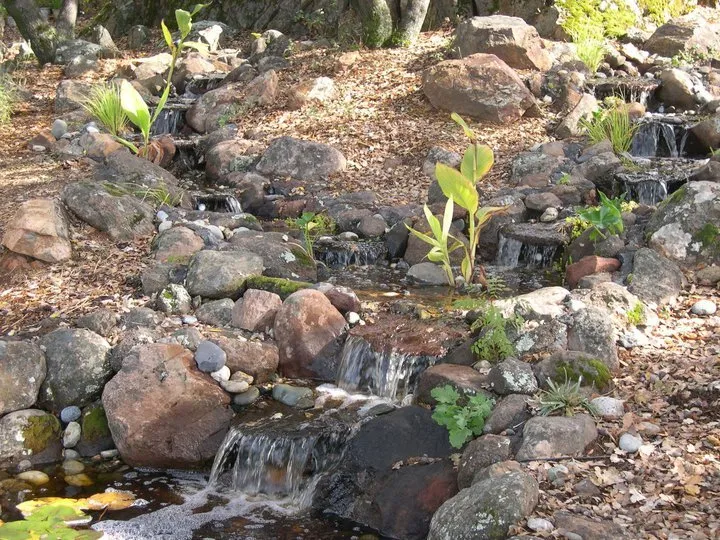 Affordable residential landscaping for outdoor upgrades across Auburn, CA - Barracuda Watergardens