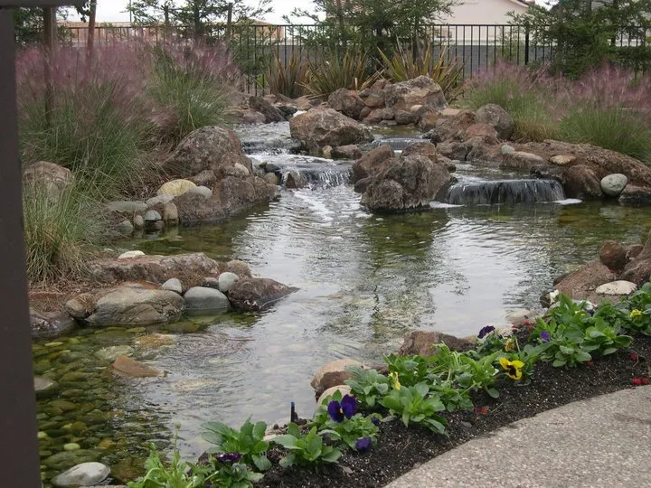 Expert yard maintenance for year-round maintenance across Auburn, CA - Barracuda Watergardens