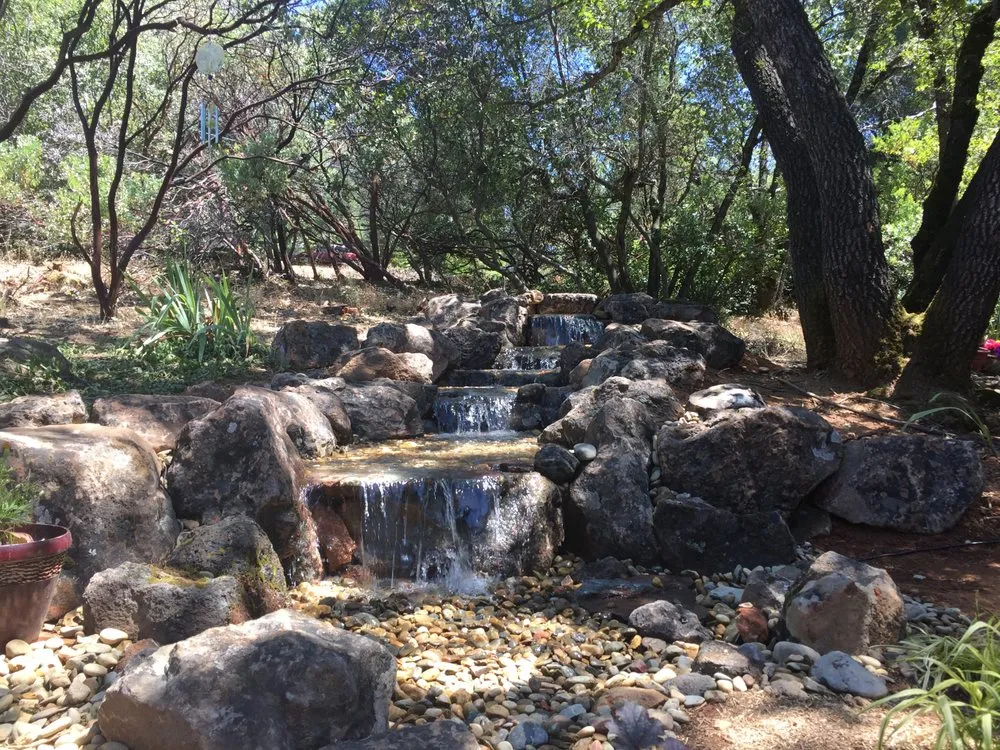 Custom yard cleanup service with custom design in Auburn, CA by Barracuda Watergardens