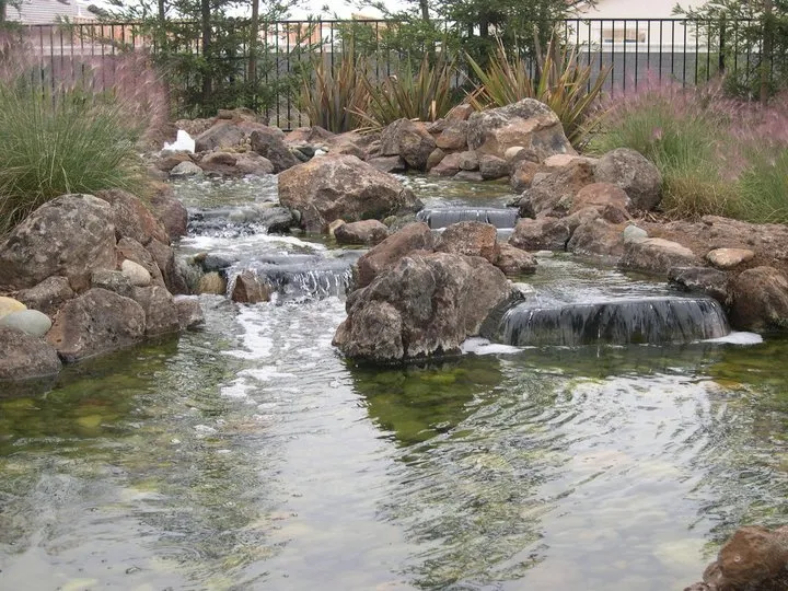 Expert yard cleanup service for year-round maintenance in Auburn, CA by Barracuda Watergardens
