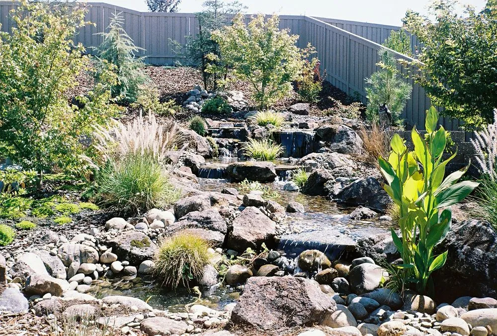Top-rated outdoor landscaping for beautiful yards in Auburn, CA by Barracuda Watergardens