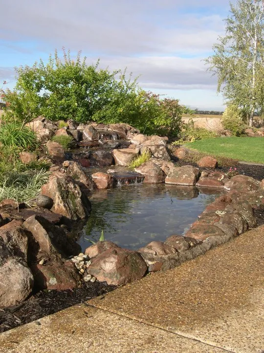 Custom yard cleanup service experts serving Auburn, CA - Barracuda Watergardens