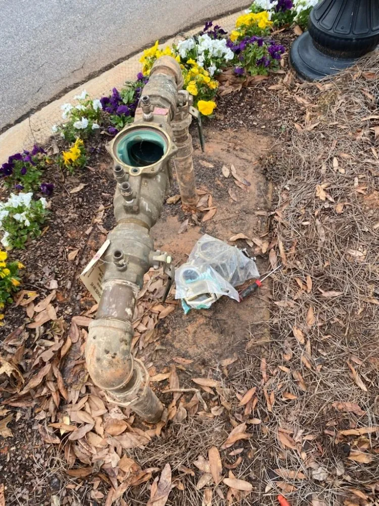 Top-rated landscape design in Rock Hill, SC - Barragan Irrigation Repairs & Lights