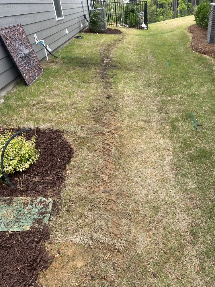 Custom landscaping services in Rock Hill, SC - Barragan Irrigation Repairs & Lights