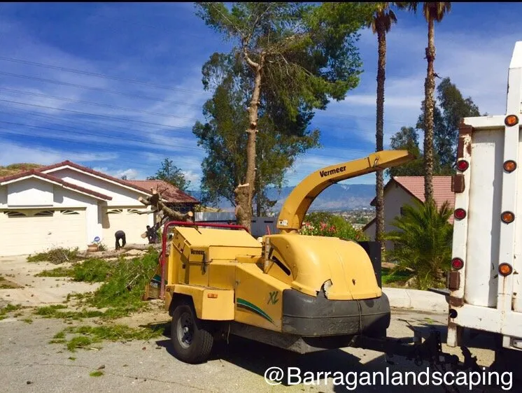 Local residential landscaping for beautiful yards in SAN BERNARDINO, CA by Barragan Landscaping