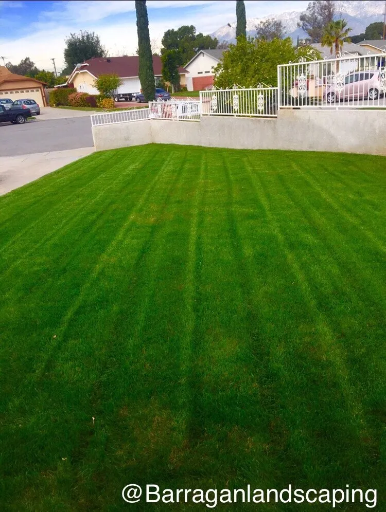 Affordable landscaping services for year-round maintenance across SAN BERNARDINO, CA - Barragan Landscaping