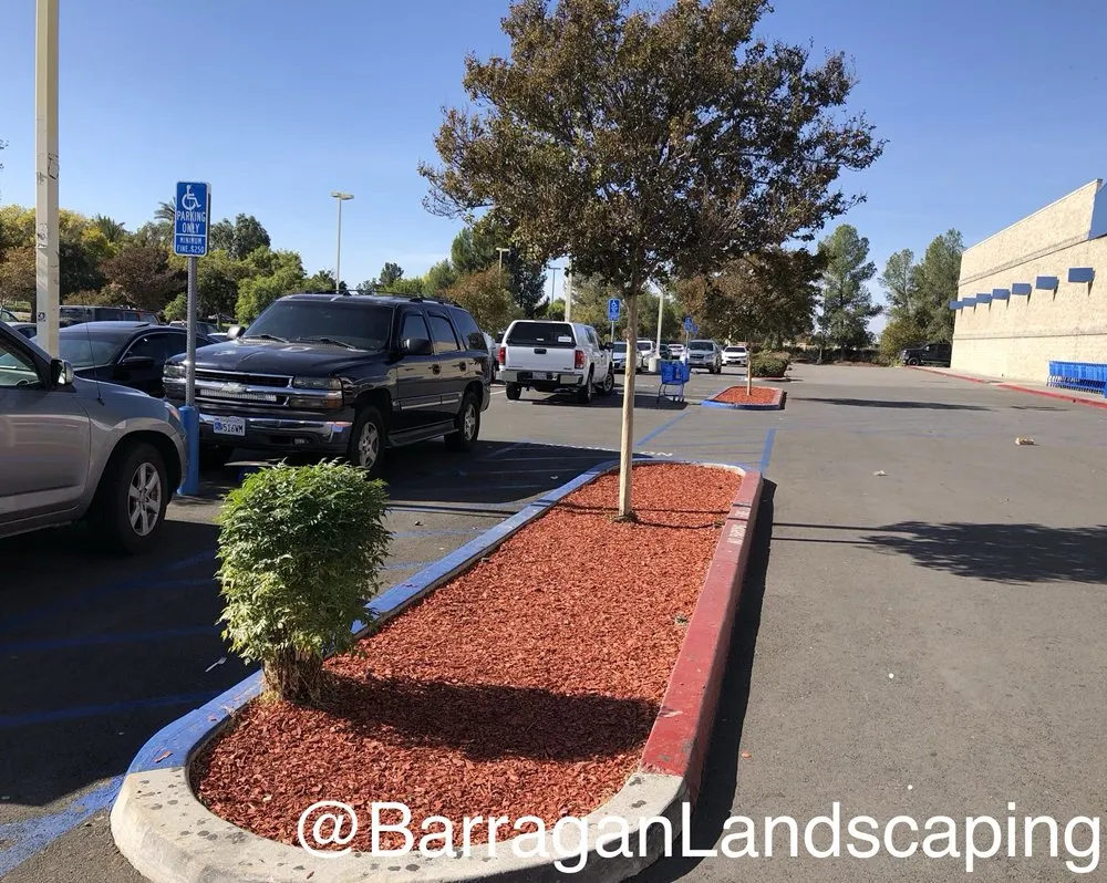 Affordable garden landscaping experts serving SAN BERNARDINO, CA - Barragan Landscaping