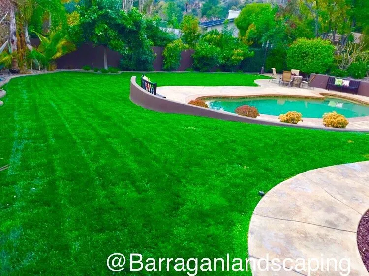 Top-rated yard cleanup service for beautiful yards across SAN BERNARDINO, CA - Barragan Landscaping