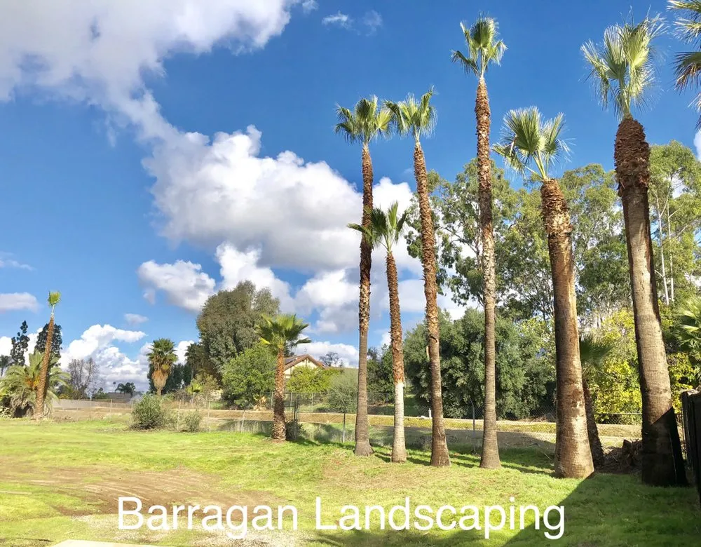 Local yard maintenance for residential properties across SAN BERNARDINO, CA - Barragan Landscaping