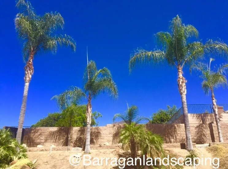Expert outdoor landscaping with custom design across SAN BERNARDINO, CA - Barragan Landscaping