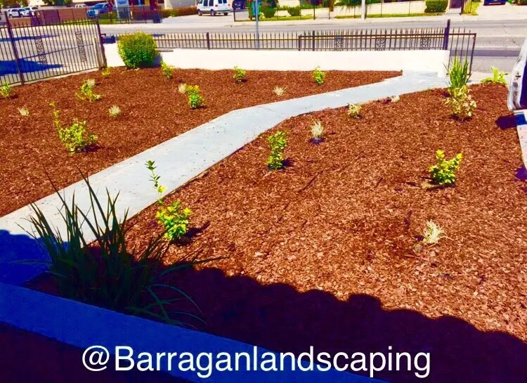 Trusted landscape design in SAN BERNARDINO, CA by Barragan Landscaping