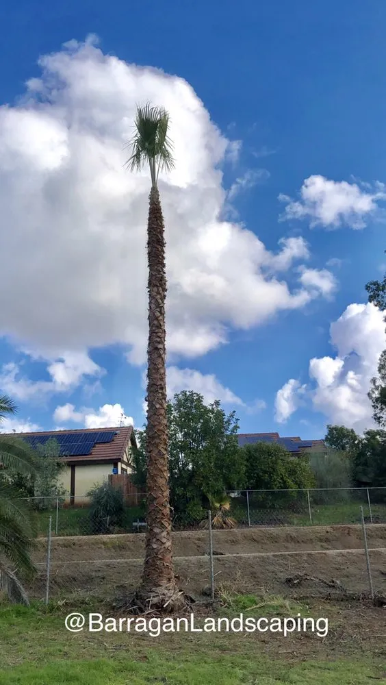 Local landscape design in SAN BERNARDINO, CA - Barragan Landscaping