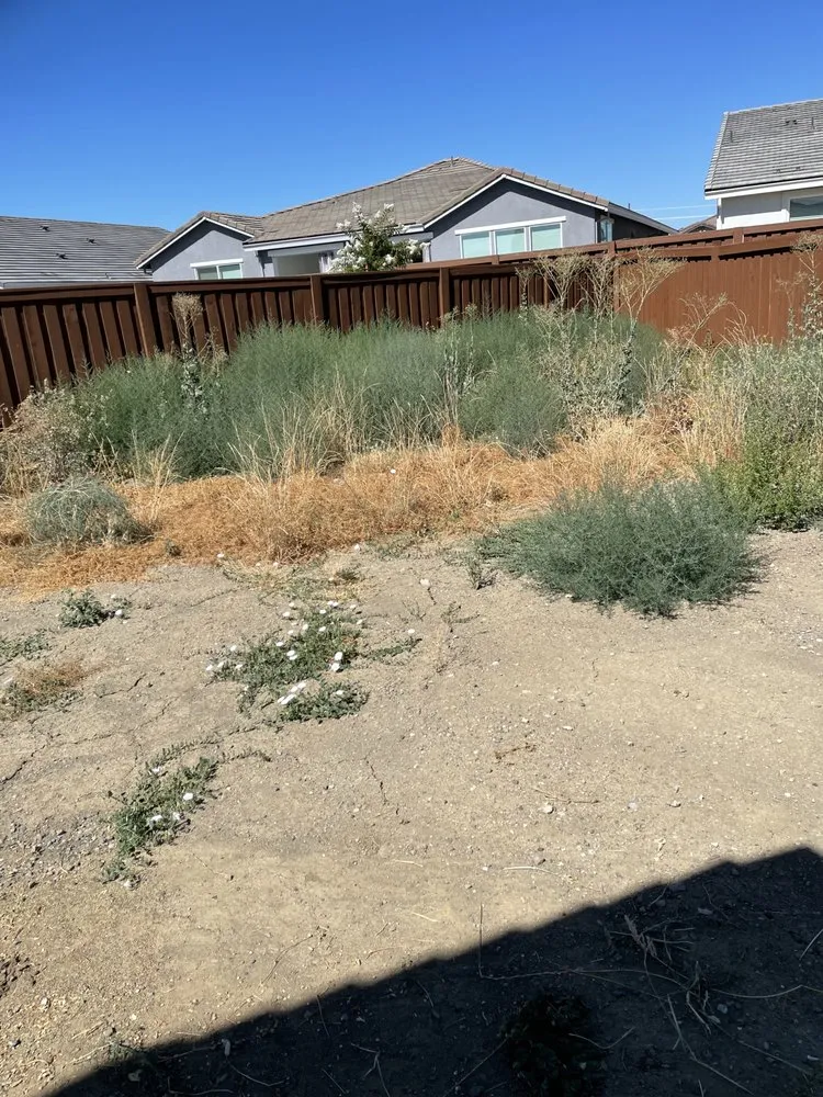 Trusted garden landscaping for homes in Woodland, CA by Barragan Landscaping