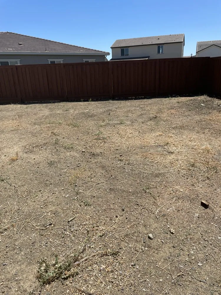 Trusted yard cleanup service in Woodland, CA - Barragan Landscaping