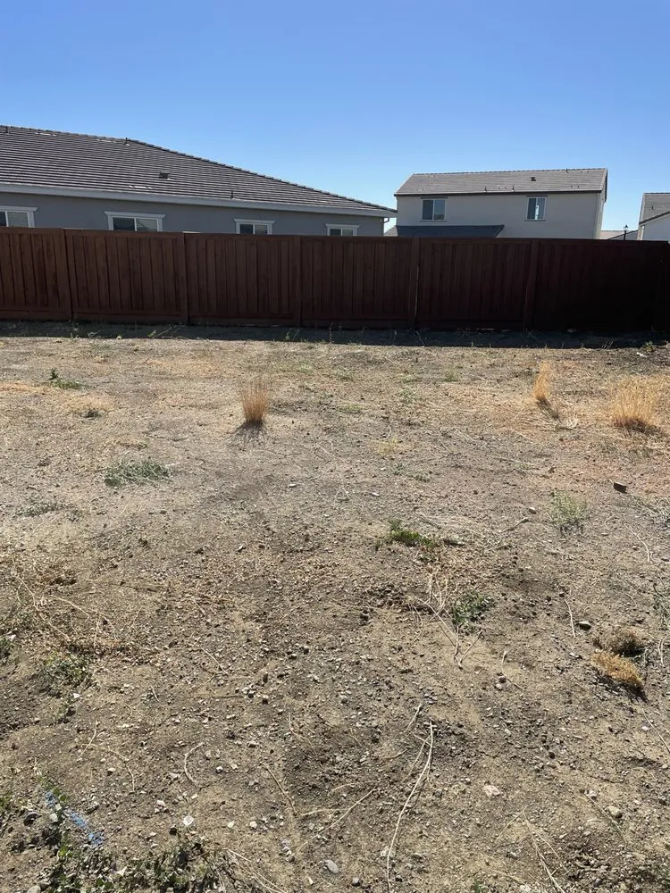 Professional landscape installation with custom design in Woodland, CA by Barragan Landscaping