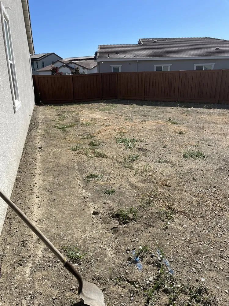 Local landscape installation for outdoor upgrades in Woodland, CA by Barragan Landscaping