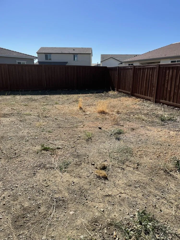 Local landscape installation for outdoor upgrades in Woodland, CA by Barragan Landscaping