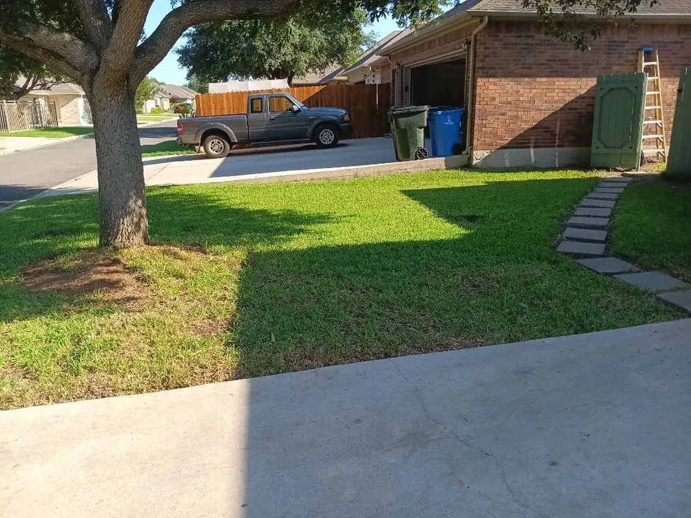 Affordable landscape installation experts serving Seguin, TX - Barragan Lawn Care
