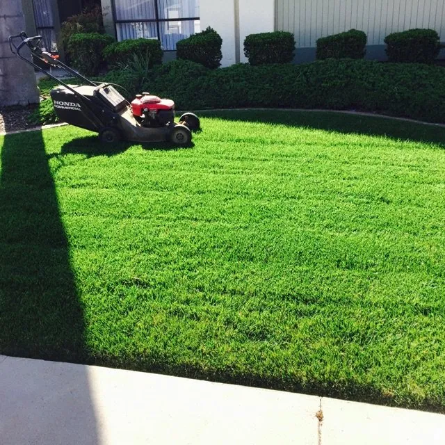 Expert lawn care service in Santa Maria, CA - Barragan's Landscape Maintenance