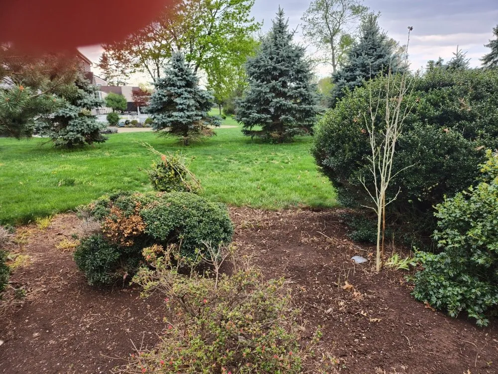 Top-rated yard cleanup service in Far Hills, NJ by Barreira landscaping