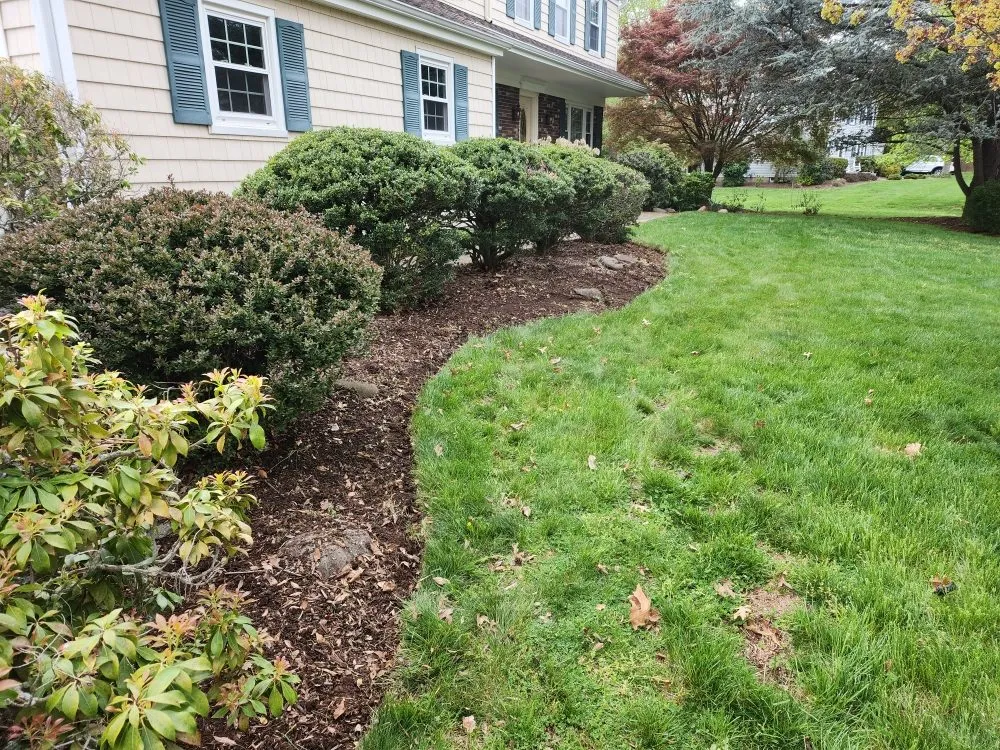 Reliable lawn care service in Far Hills, NJ by Barreira landscaping