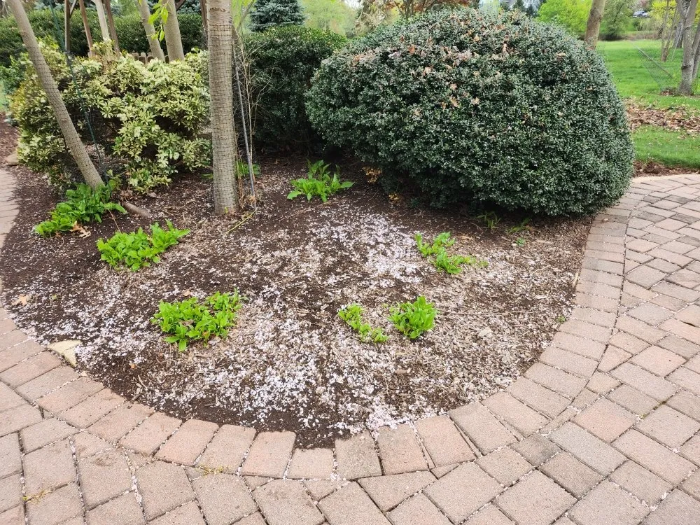 Professional lawn care service near you across Far Hills, NJ - Barreira landscaping