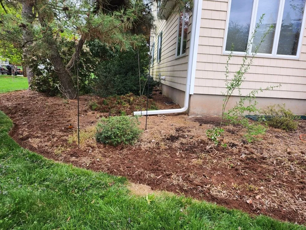 Trusted yard cleanup service near you across Far Hills, NJ - Barreira landscaping