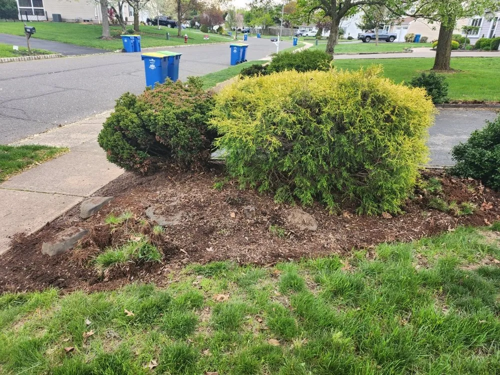 Expert garden landscaping experts serving Far Hills, NJ - Barreira landscaping