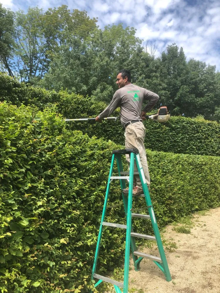 Affordable lawn mowing service for year-round maintenance in Far Hills, NJ by Barreira landscaping