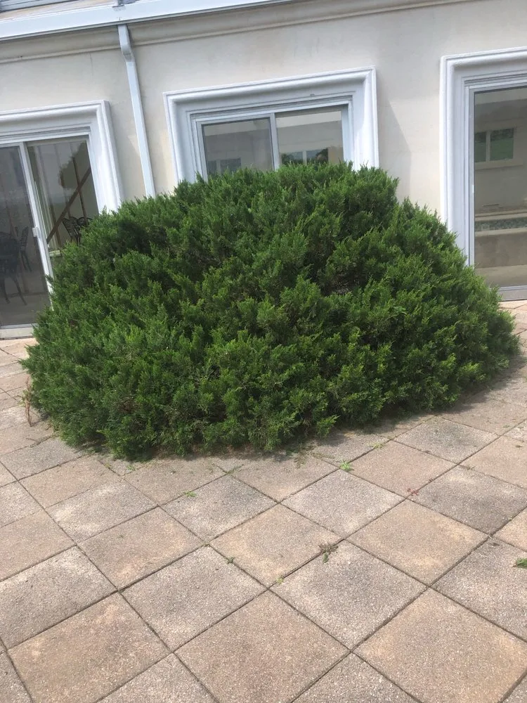 Expert yard maintenance near you across Far Hills, NJ - Barreira landscaping